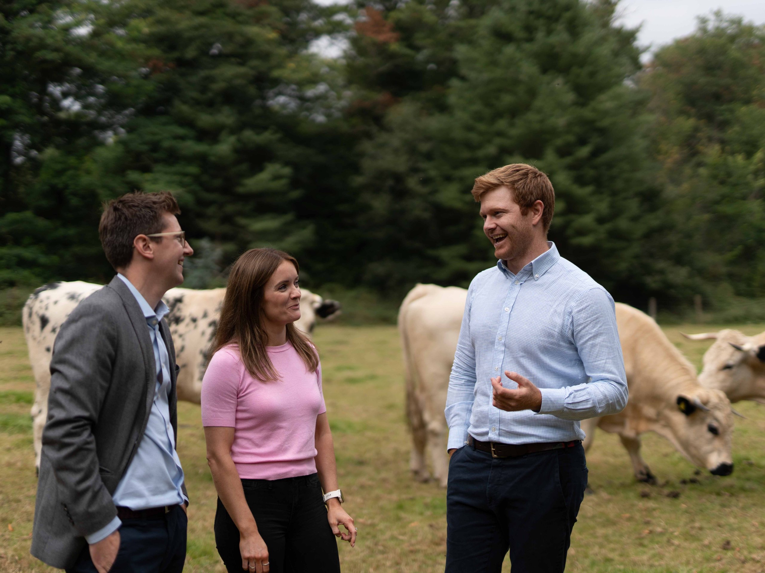 Image of Demystifying data