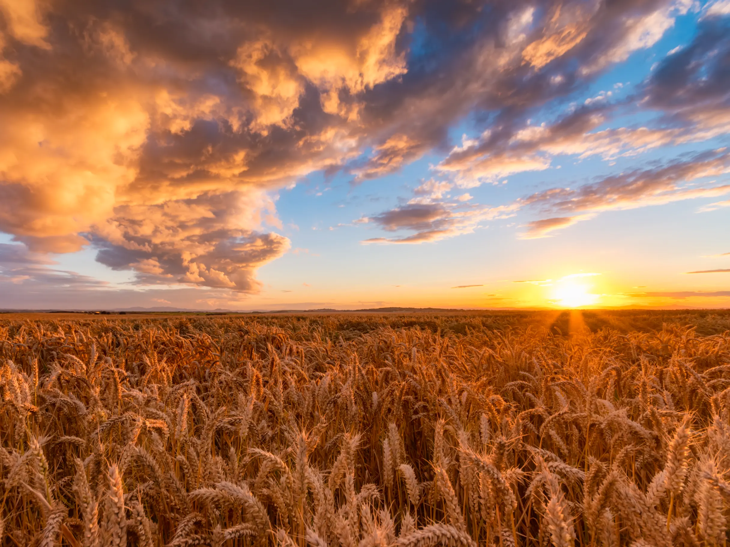 Image of Financing the future