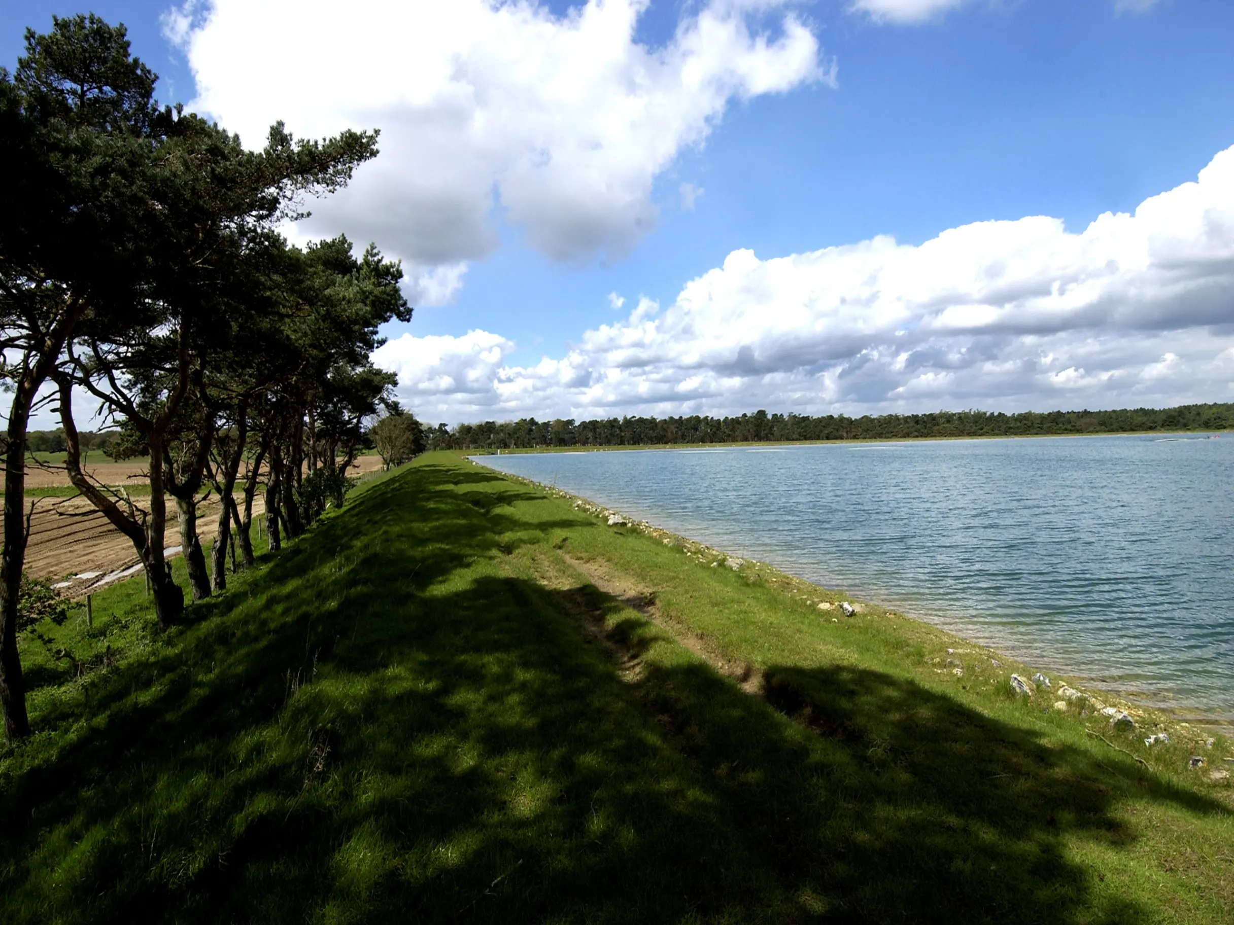 Image of Management matters