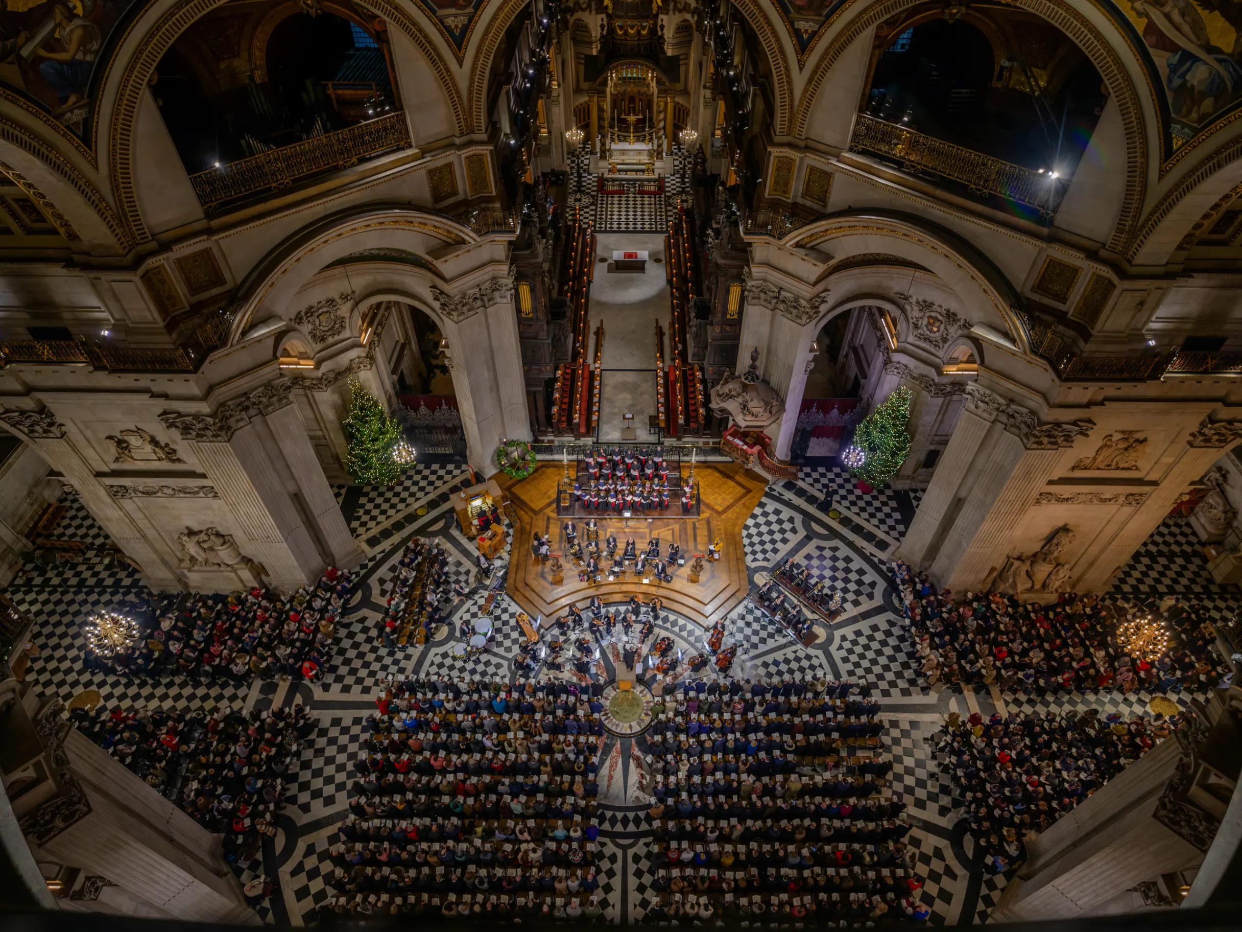 Image of Rooted in history