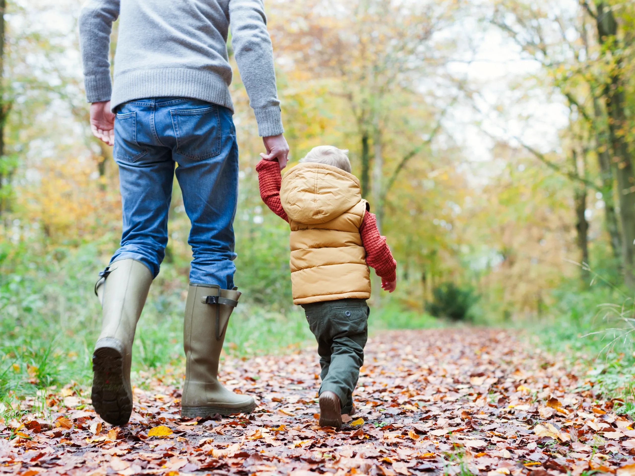 Image of Succession planning