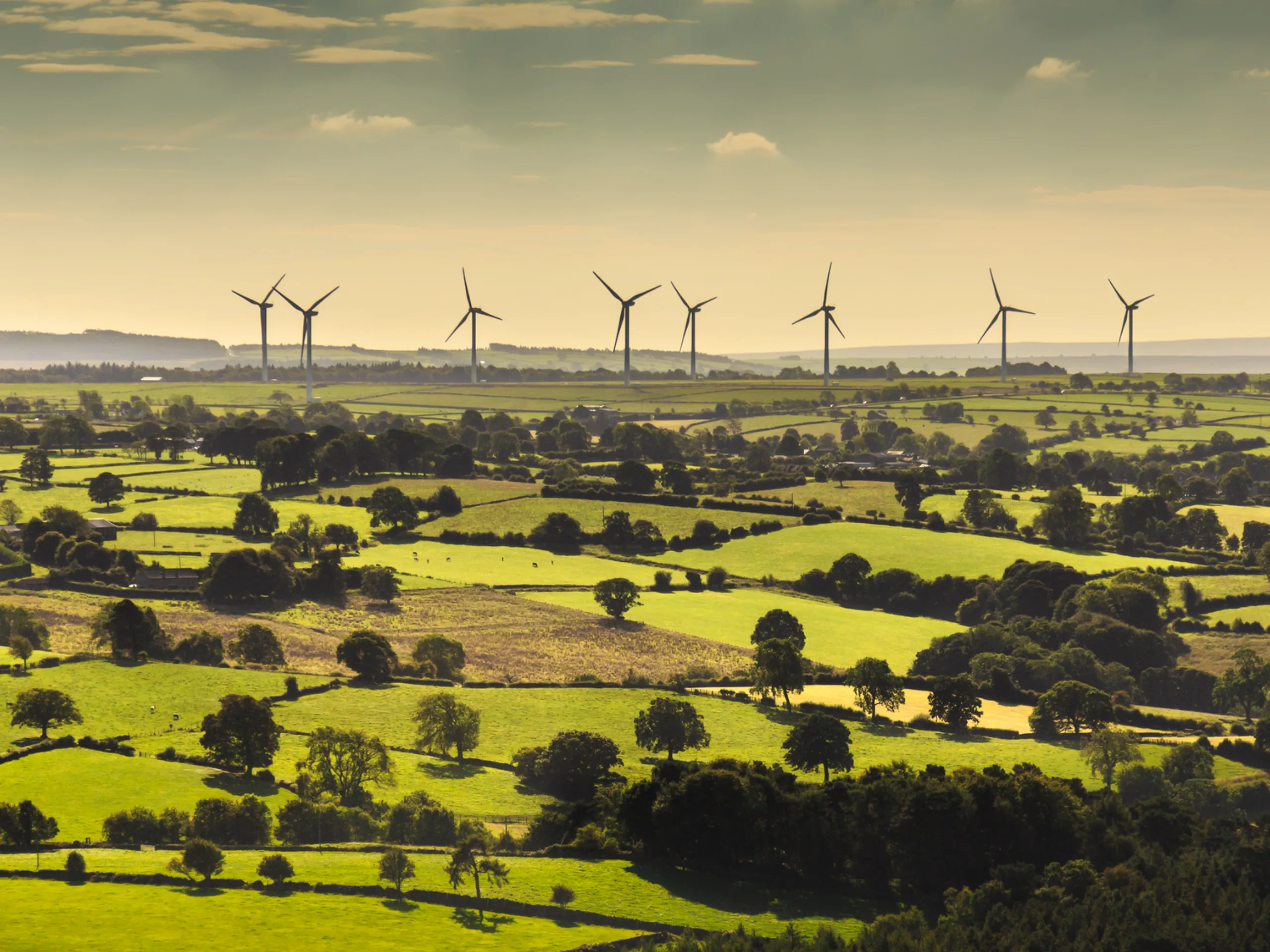 Image of Connection reform update: a new pipeline announced