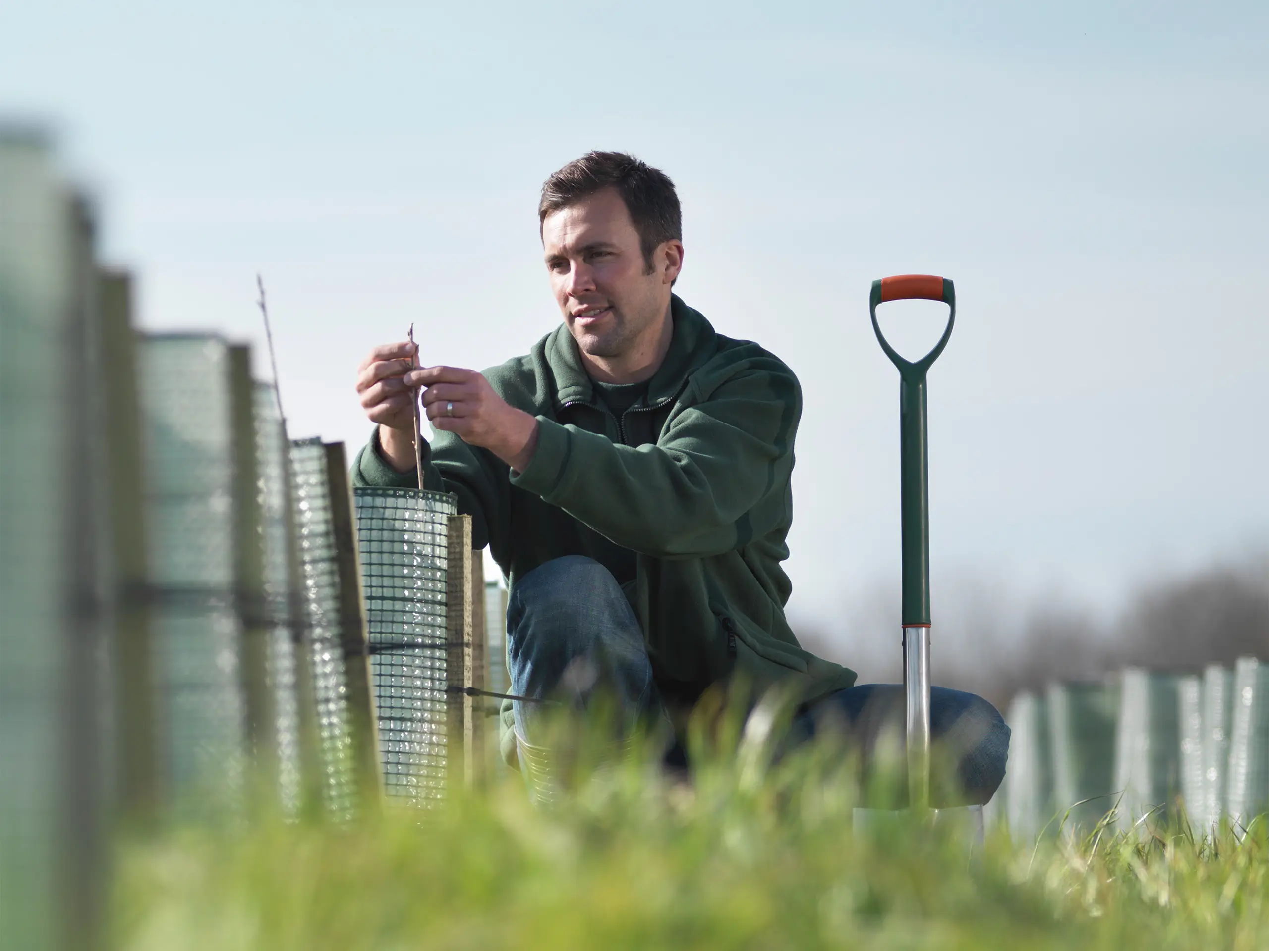 Man tending to young trees in Yorkshire, UK