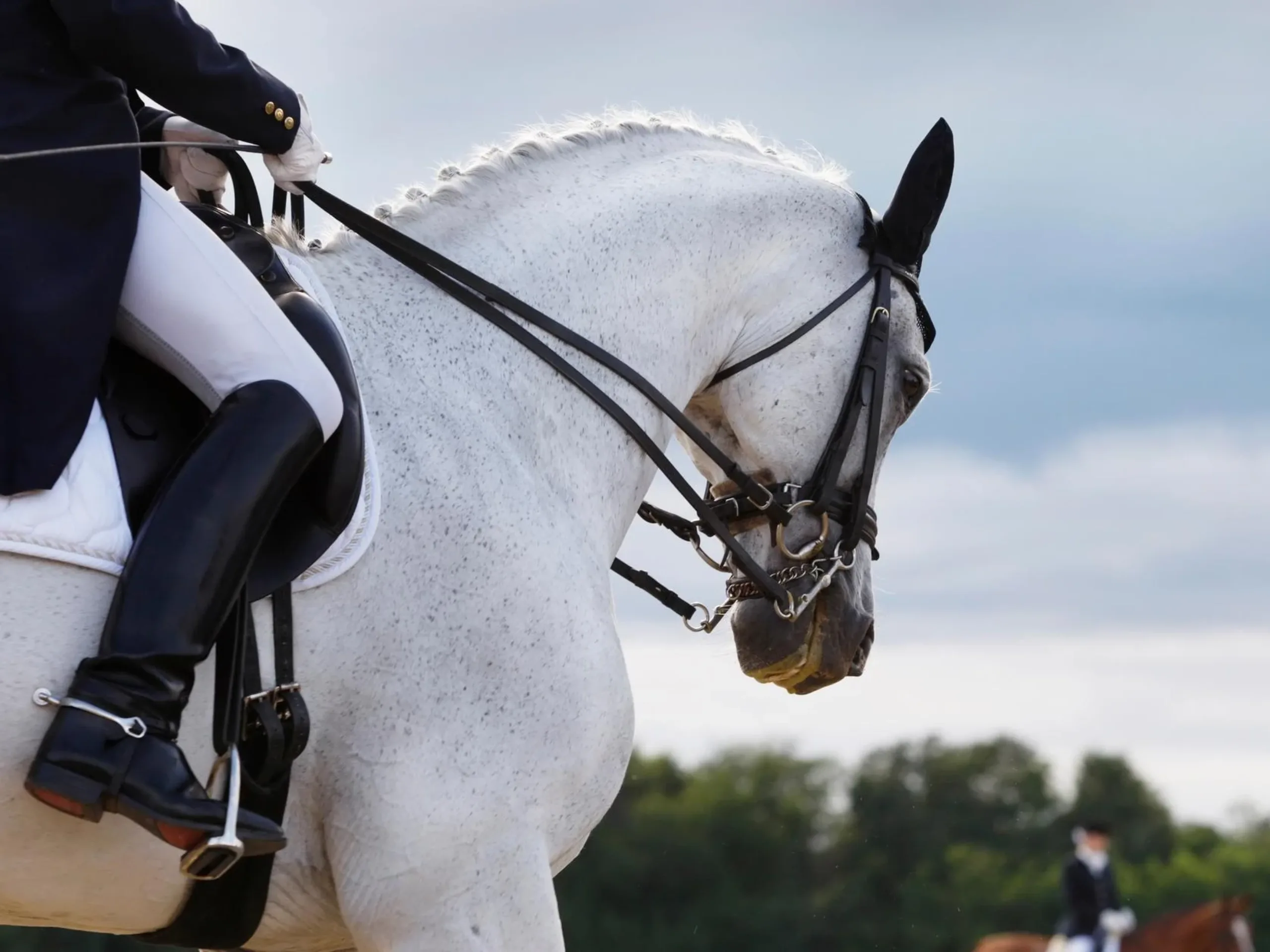 Image of Racecourse residences: new homes near top equestrian venues